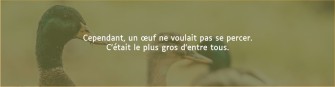 La même image avec un overlay vert à 75% d'opacité qui fait ressortir le texte en blanc qui est dessus