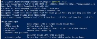 Capture d'image de l'interface