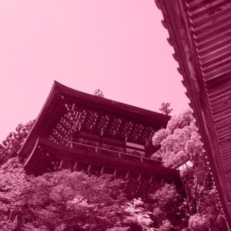 Exemple de traitement d'image plus optimiser (duochrome)