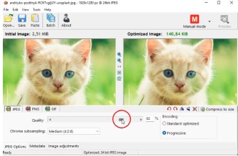 Comparaison de deux images : l'originale et l'optimisée