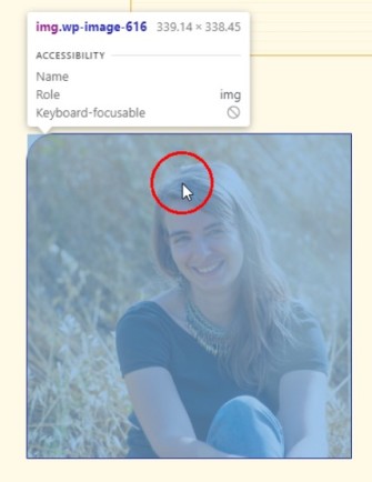 Capture d'écran de l'infobulle qui apparait au survol