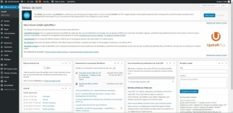Capture d'écran du backoffice de WordPress